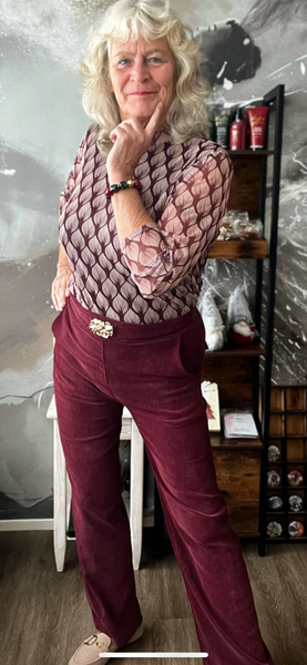 Chastar mech top rood