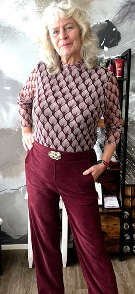 Chastar fluwelen broek rood